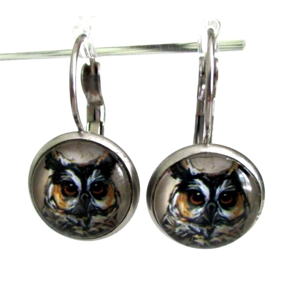 New Horned Owl Earrings on Stainless Lever Back Hooks - Bird Jewelry Gift